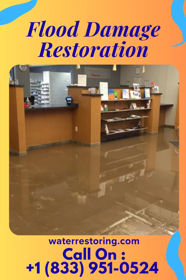 Flood Damage Restoration in Forest, OH