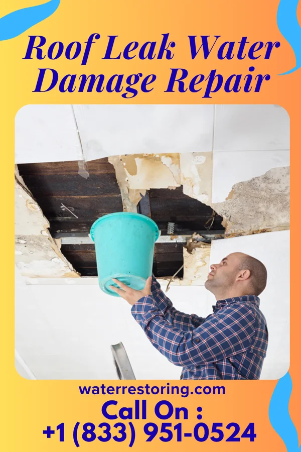 Roof Leak Water Damage Repair in Forest, OH