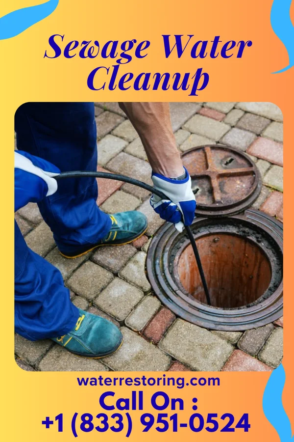 Sewage Water Cleanup in Forest, OH