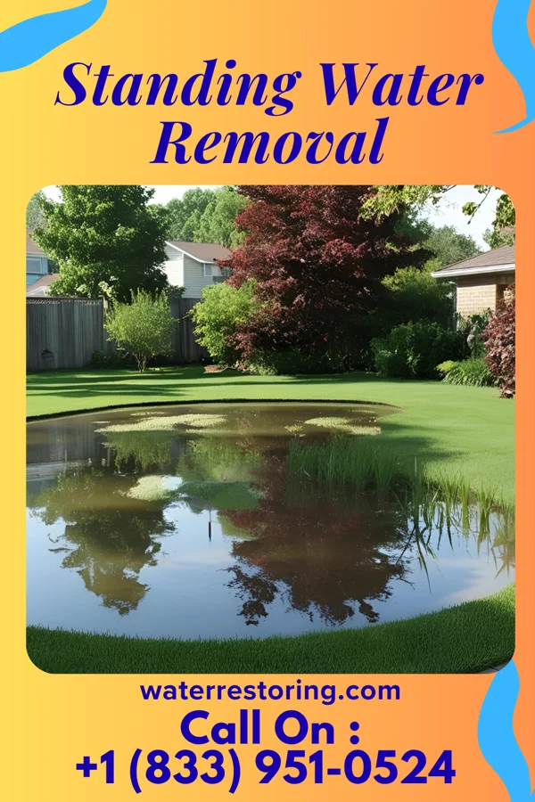 Standing Water Removal in Forest, OH
